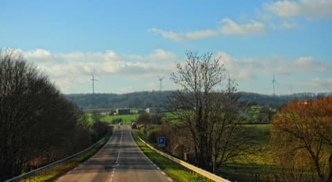 Élagueur Avesnes-en-Bray