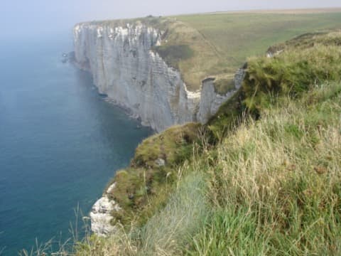 Élagueur Bénouville