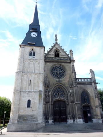 Élagueur Caudebec-lès-Elbeuf