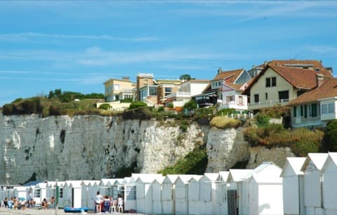 Élagueur Criel-sur-Mer