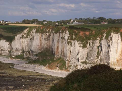 Élagueur Criquebeuf-en-Caux