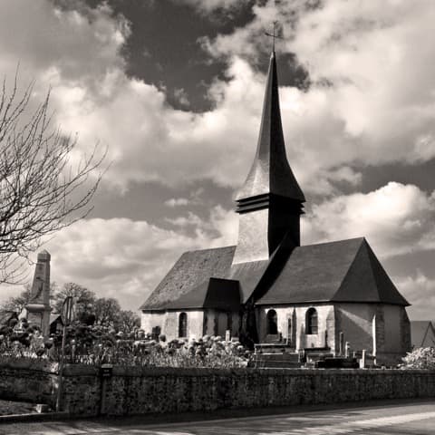 Élagueur La Rue-Saint-Pierre