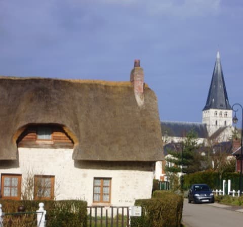 Élagueur Saint-Martin-de-Boscherville