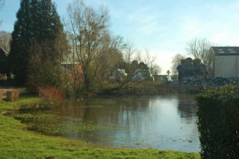 Élagueur Saint-Pierre-des-Jonquières