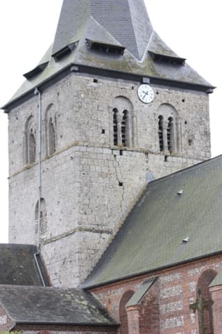 Élagueur Sainte-Foy