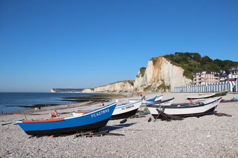 Élagueur Yport