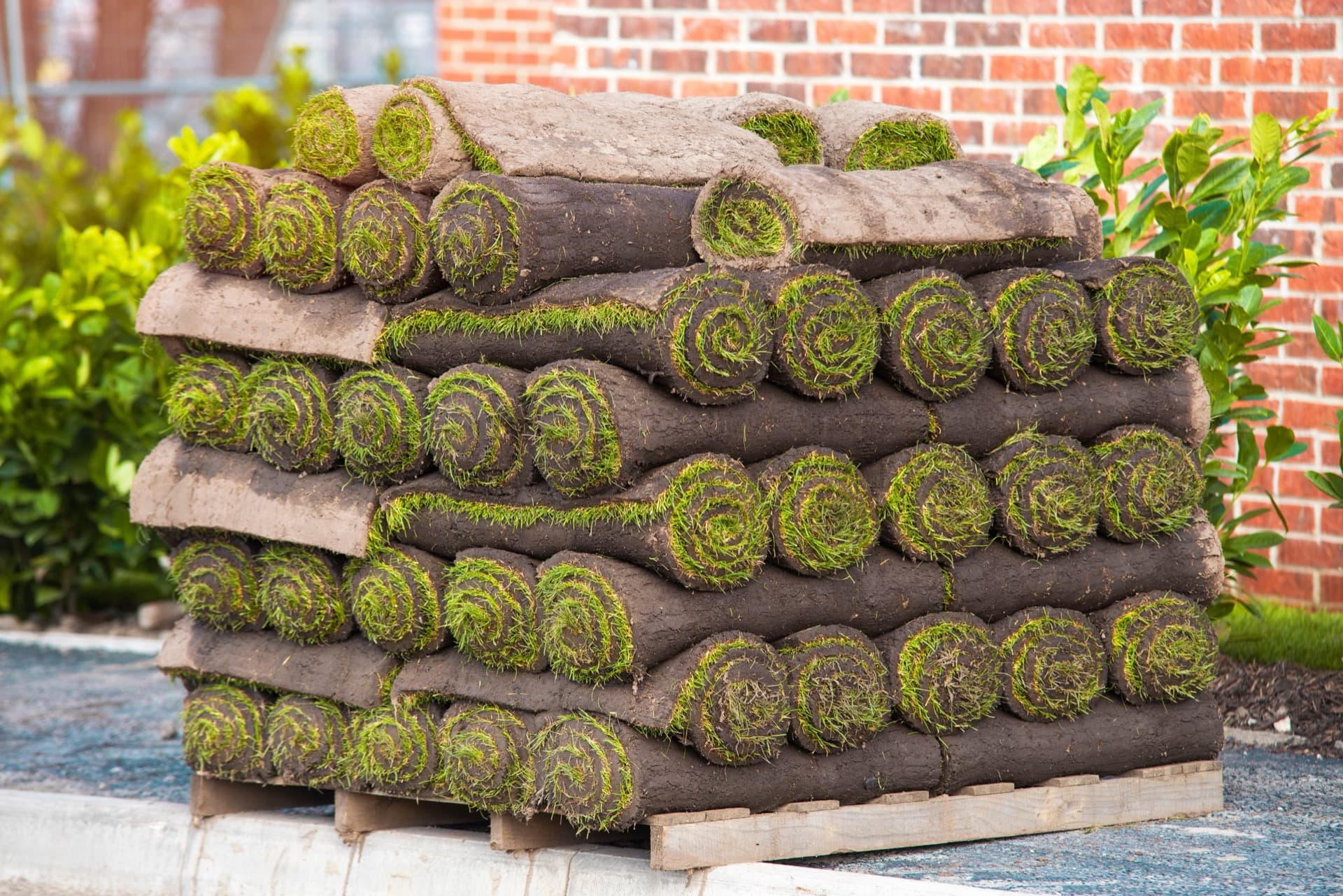 Pose de gazon en rouleaux 76 Seine Maritime