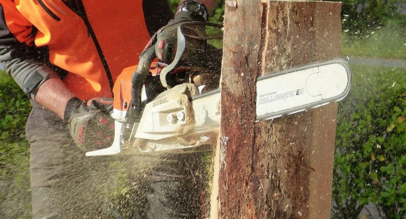 Élagage 76 Seine-Maritime