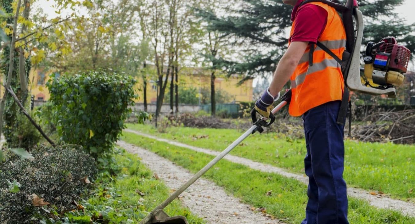 Taille de haies & Débroussaillage 76 Seine-Maritime