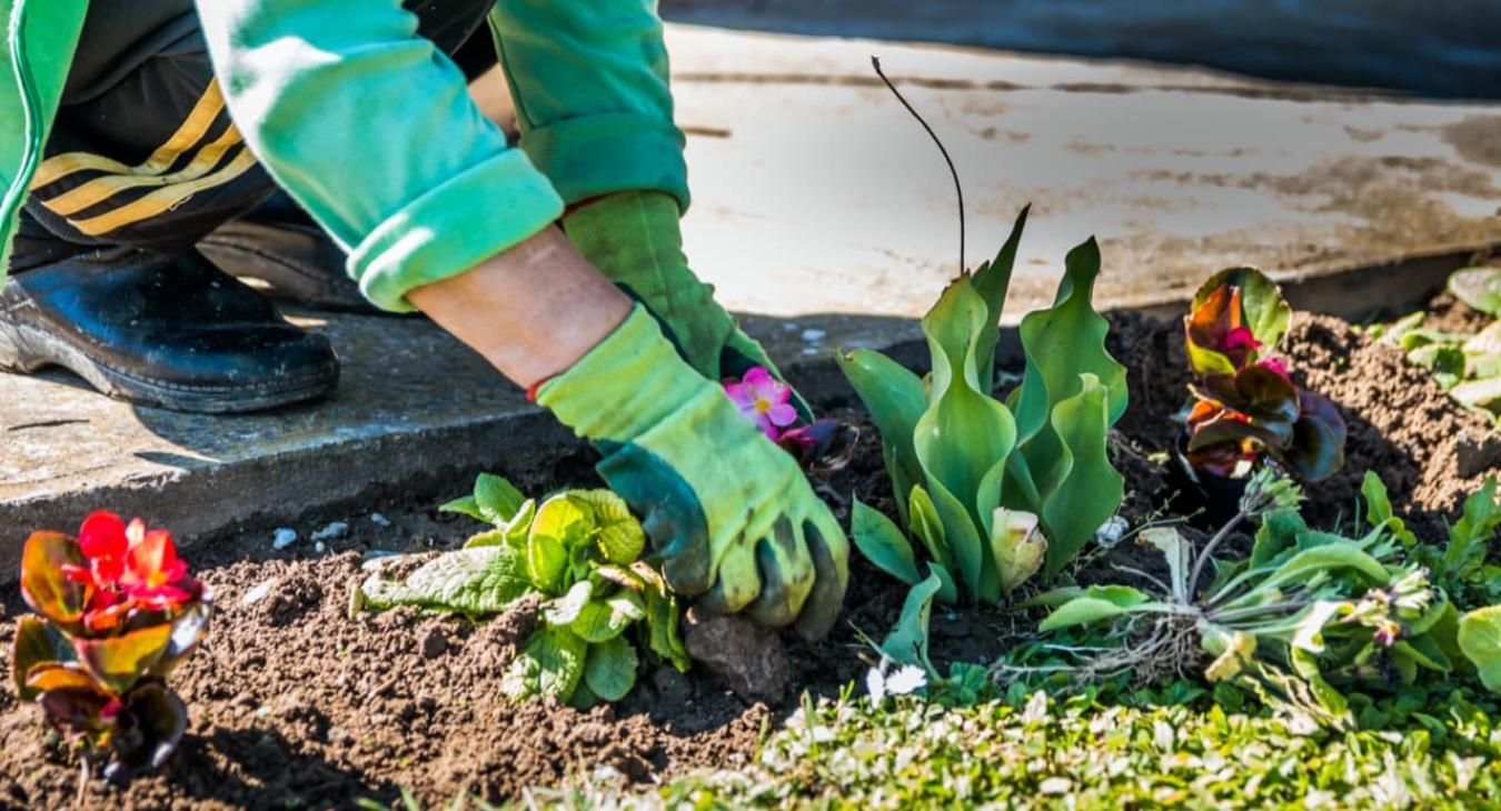 Paysagiste - Création de jardins & plantations 76 Seine-Maritime