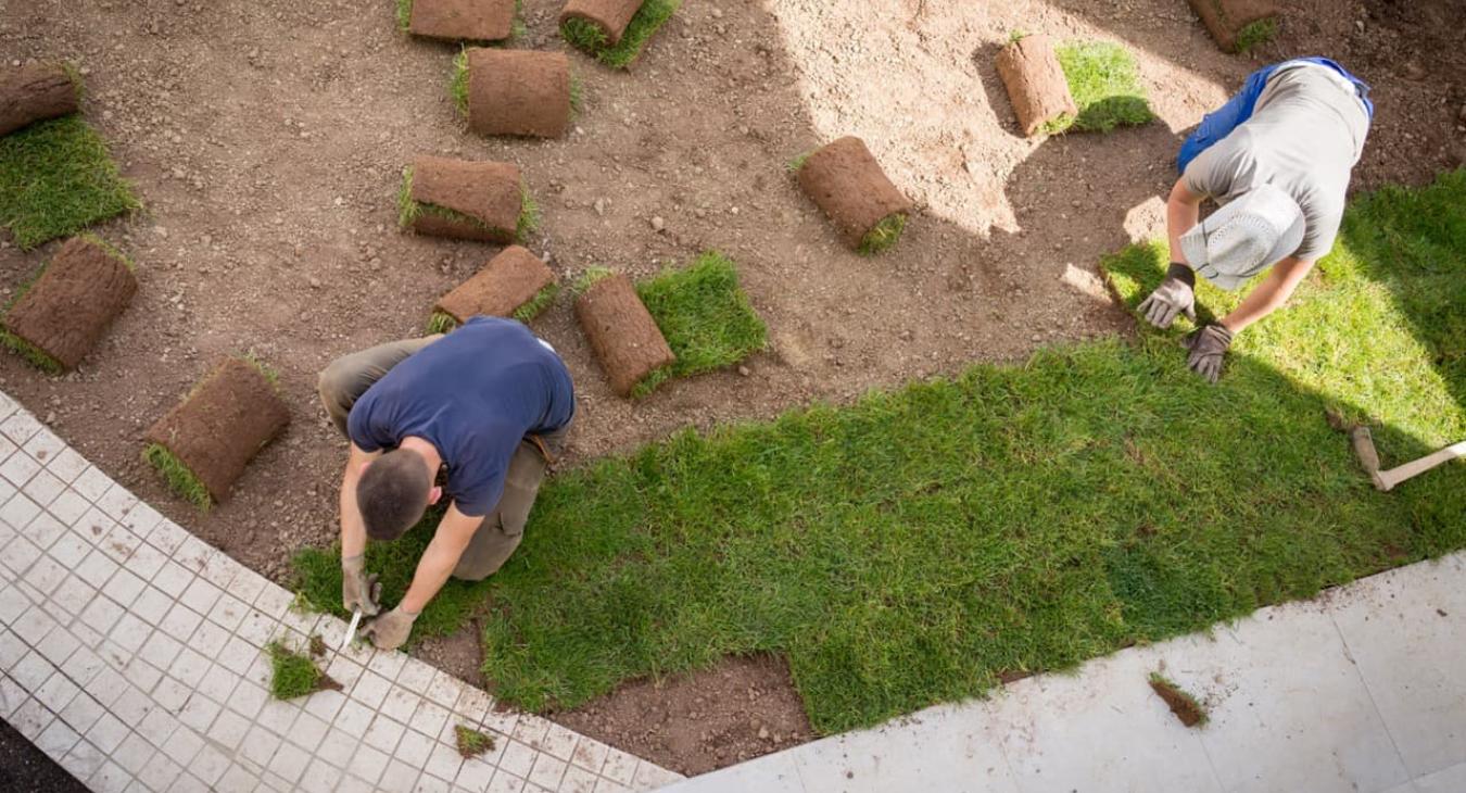 Pose de gazon en rouleaux 76 Seine Maritime