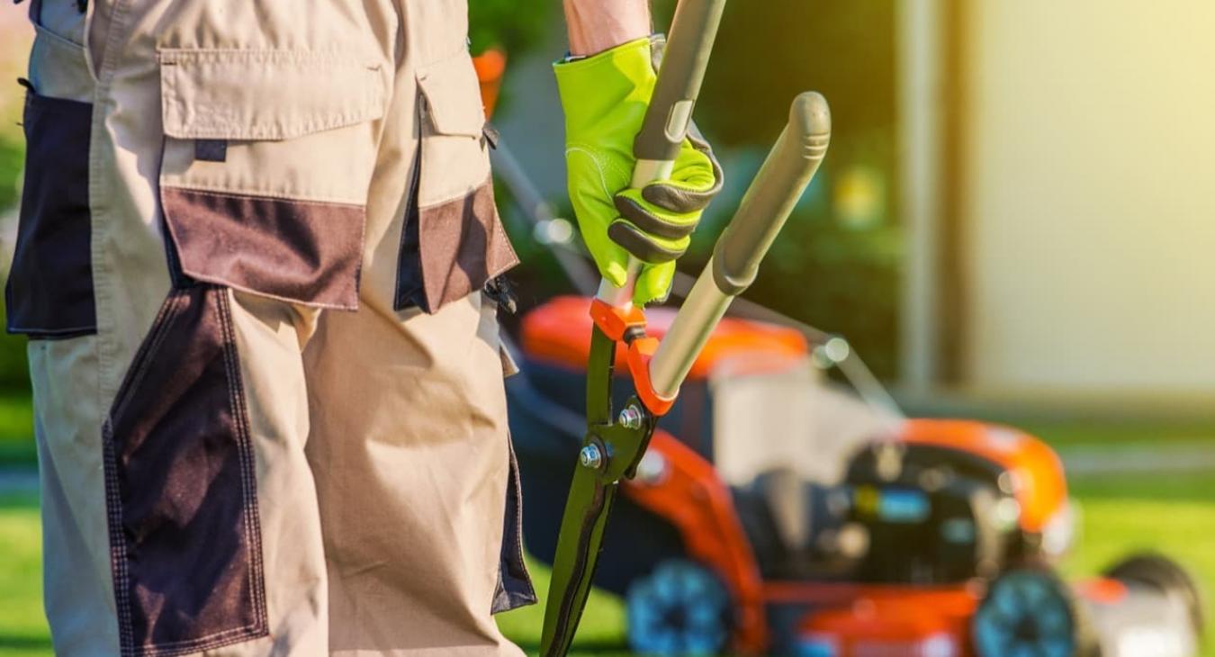 Paysagiste - Création de jardins & plantations 76 Seine-Maritime